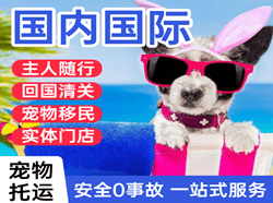 且末玉都航空物流国际宠物托运 【国